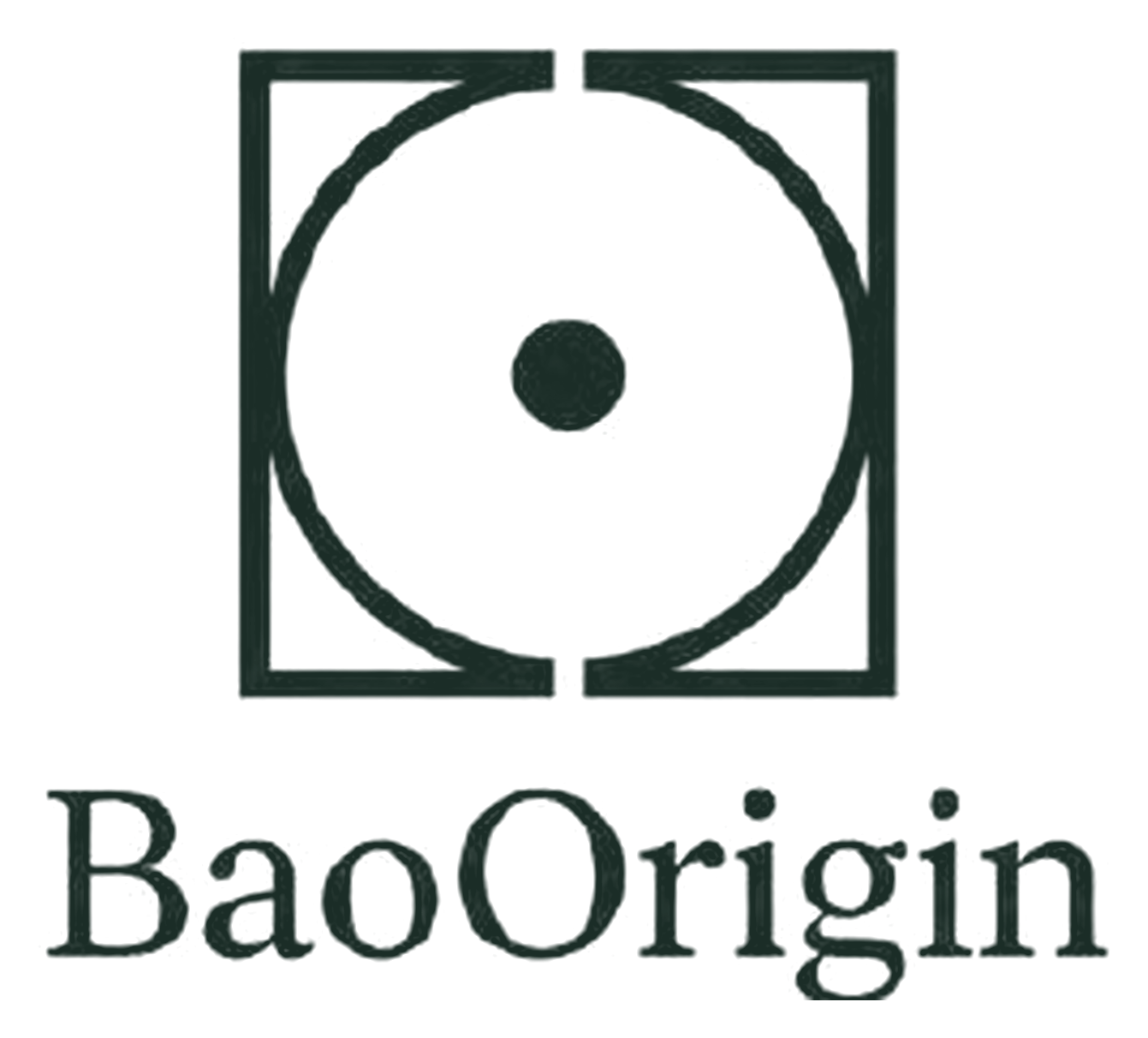 BaoOrigin